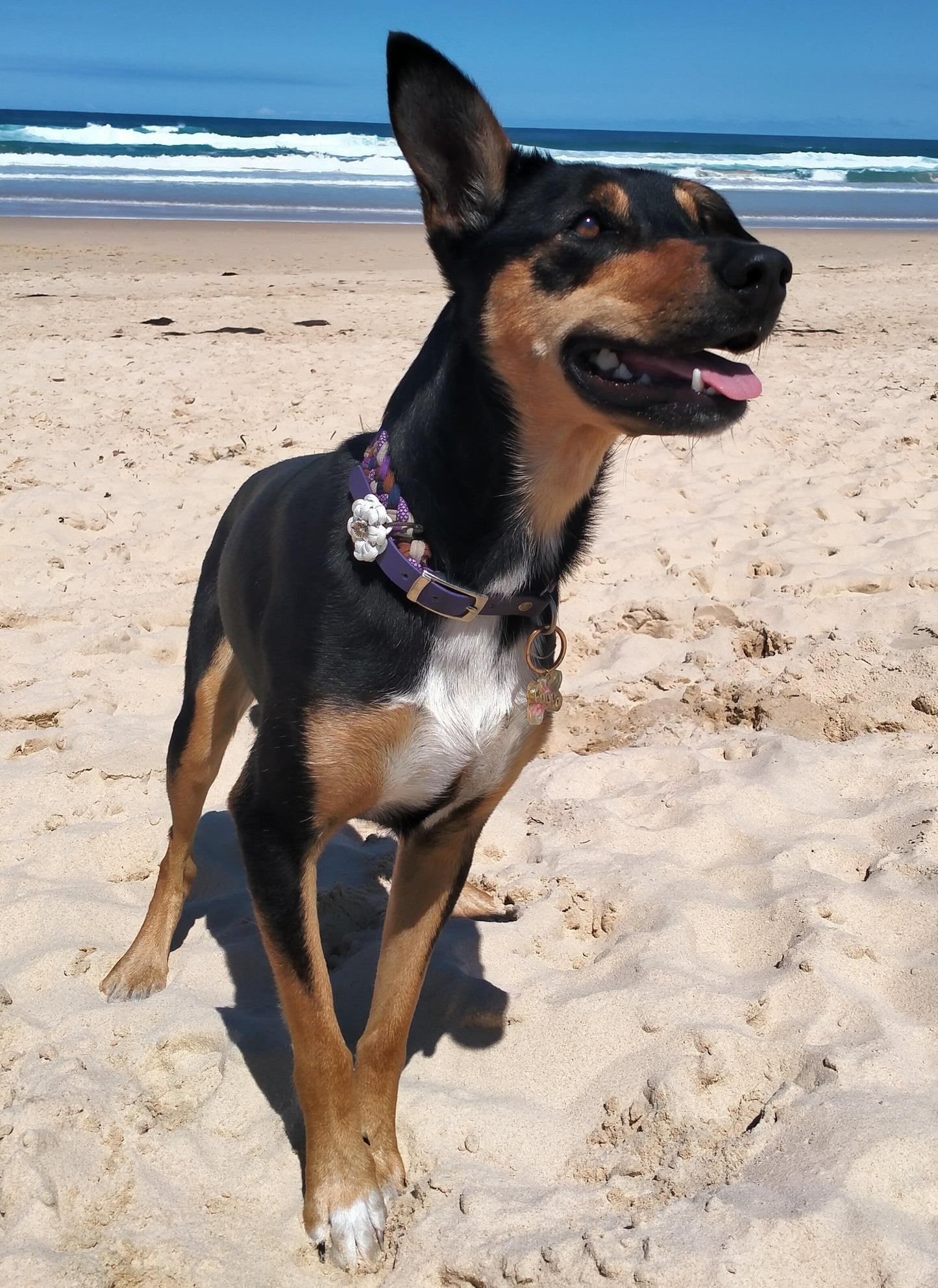 Collar Flower Charm Kim & Milly's Cords 4 Paws Paracord Handmade Dog Accessories Customizable Made in Germany Shipping worldwide