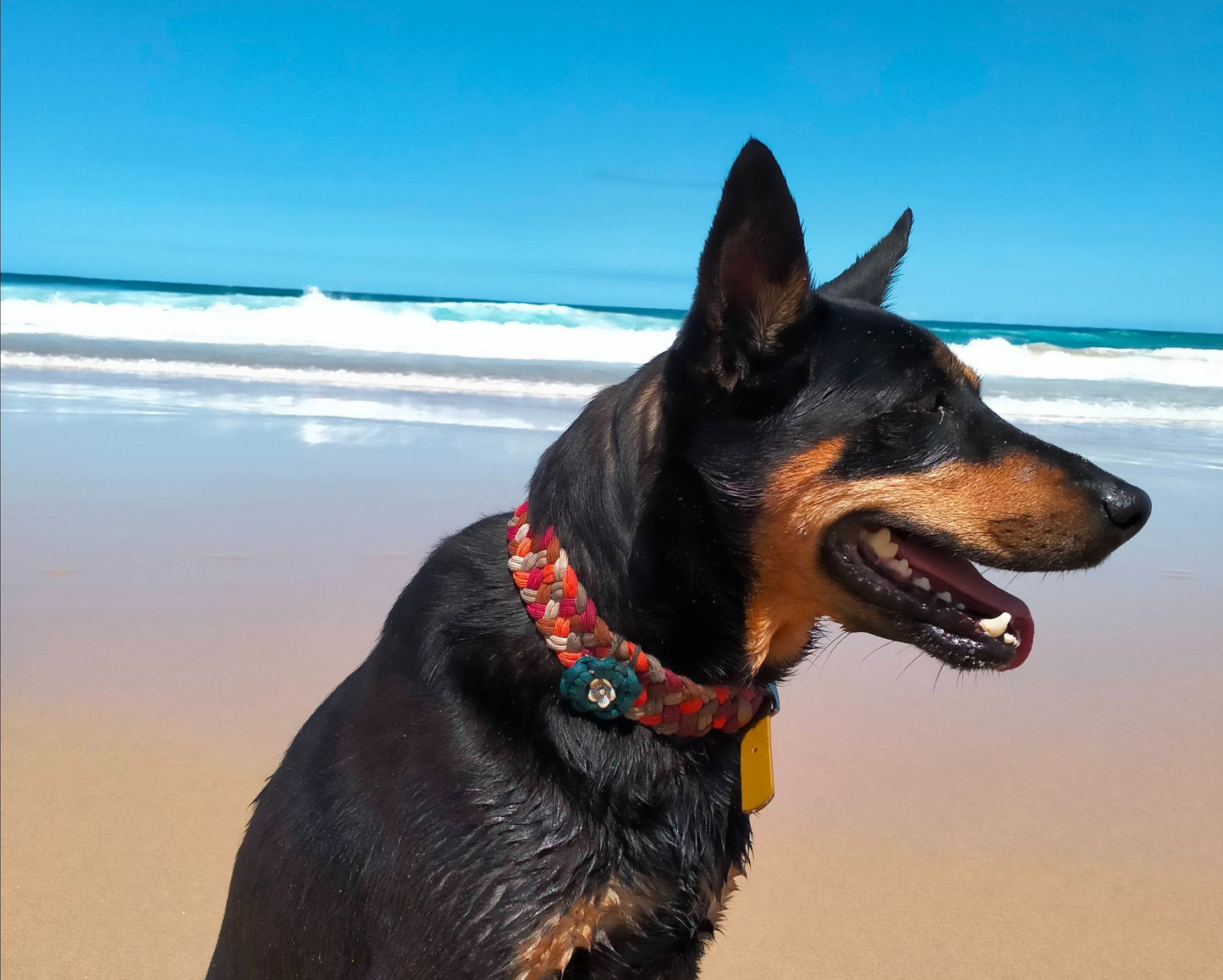 Collar Flower Charm Kim & Milly's Cords 4 Paws Paracord Handmade Dog Accessories Customizable Made in Germany Shipping worldwide