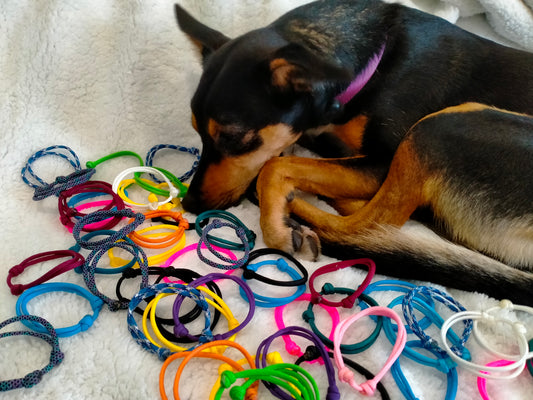 Unleashing Joy: The Importance of Enrichment for Dogs