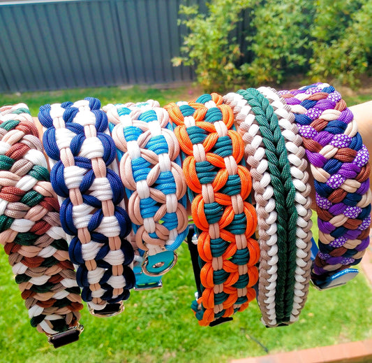 How to Choose the Right Collar for Your Dog: A Complete Guide