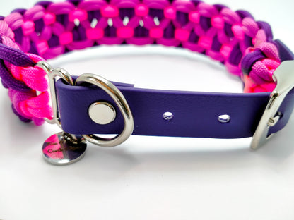 Dog Collar - Sadie's Posie