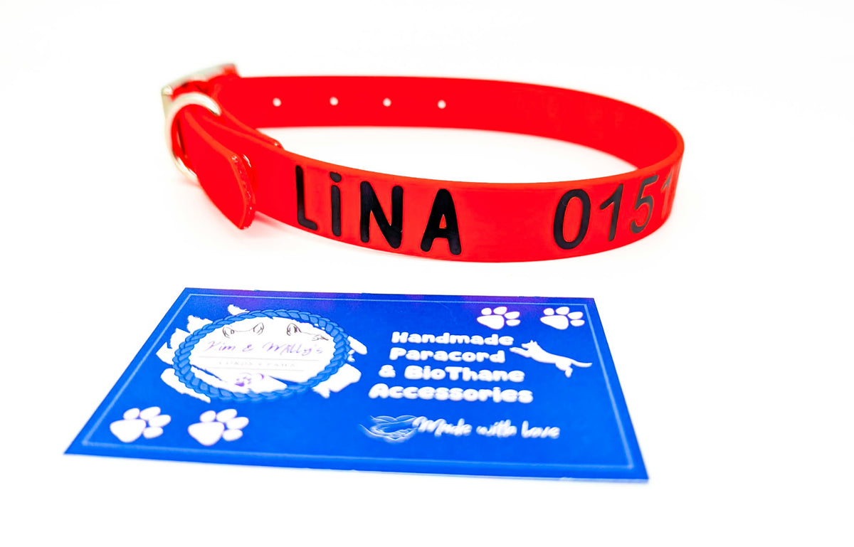 HomeSafe – personalisiertes BioThane® Halsband