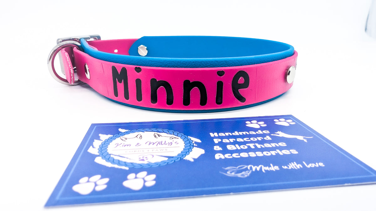 HomeSafe – personalisiertes BioThane® Halsband