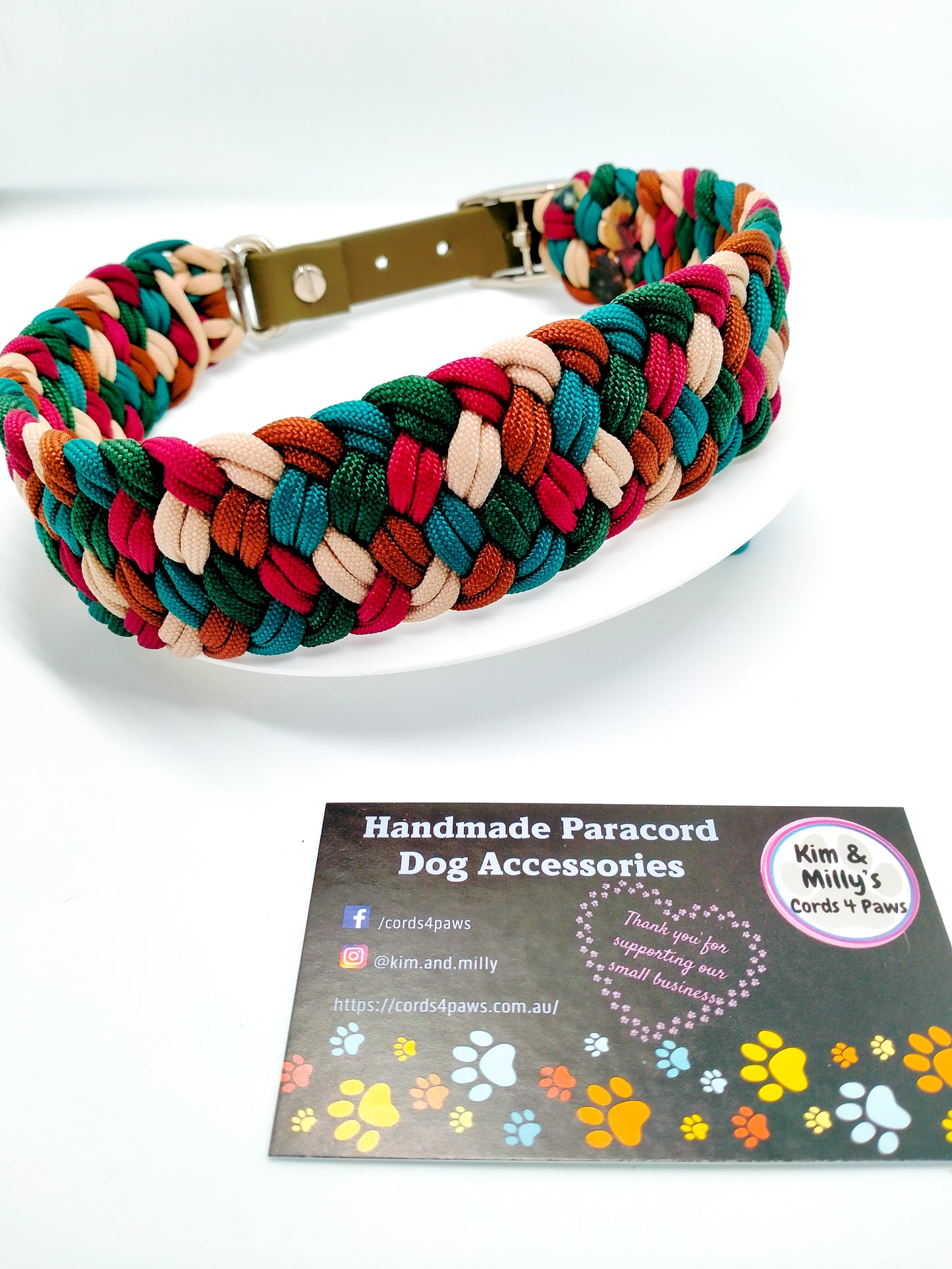 Dog Collar - Milly's Rainbow