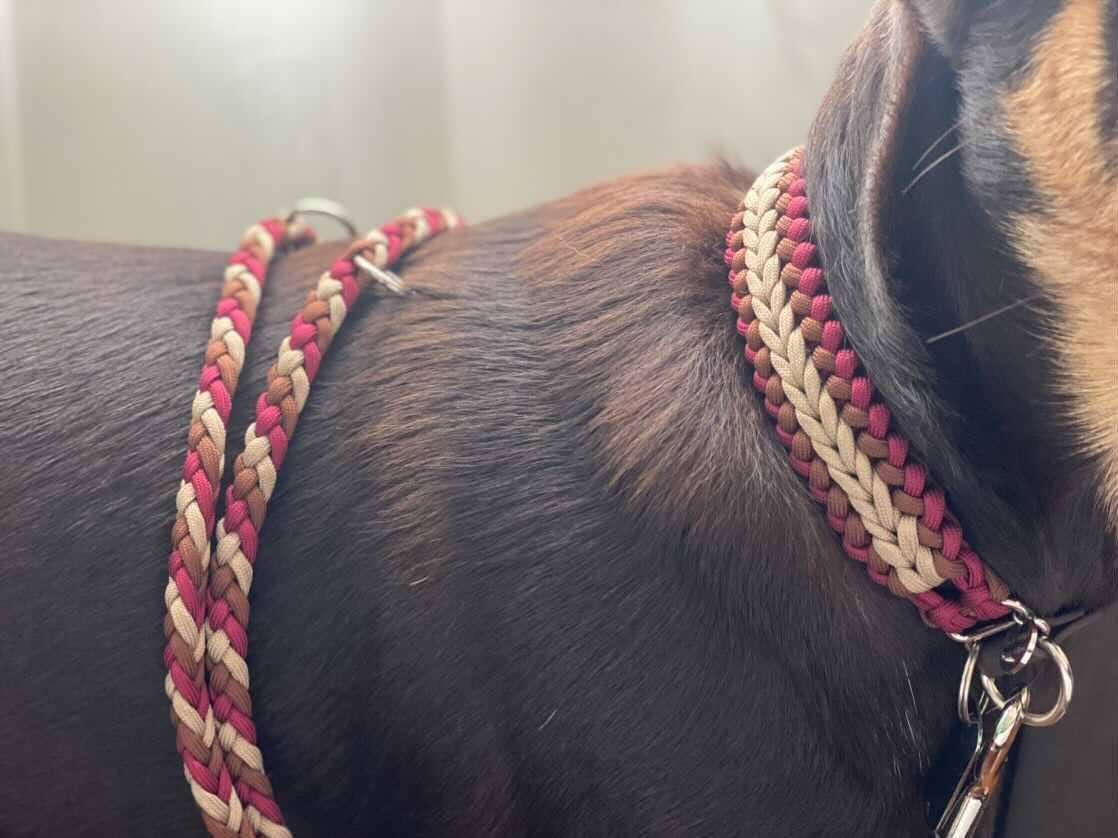 Adjustable Lead - 6 Strand Half Round Braid cords4paws Paracord Handmade Dog Accessories Customizable Made in Germany Shipping worldwide