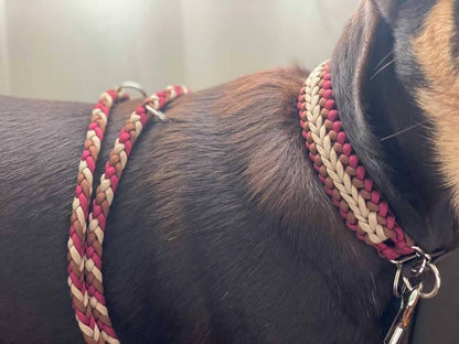 Adjustable Lead - 6 Strand Half Round Braid cords4paws Paracord Handmade Dog Accessories Customizable Made in Germany Shipping worldwide