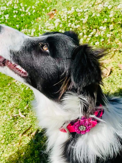 Collar Flower Charm Kim & Milly's Cords 4 Paws Paracord Handmade Dog Accessories Customizable Made in Germany Shipping worldwide