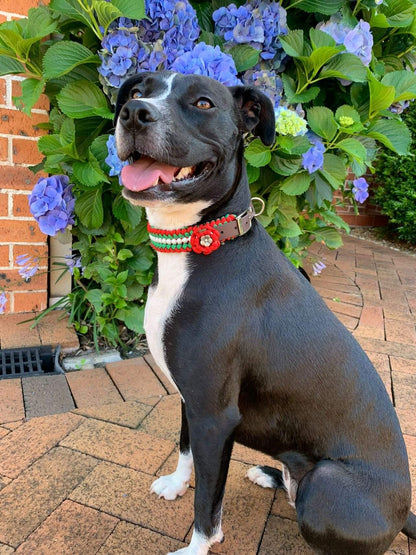 Collar Flower Charm Kim & Milly's Cords 4 Paws Paracord Handmade Dog Accessories Customizable Made in Germany Shipping worldwide