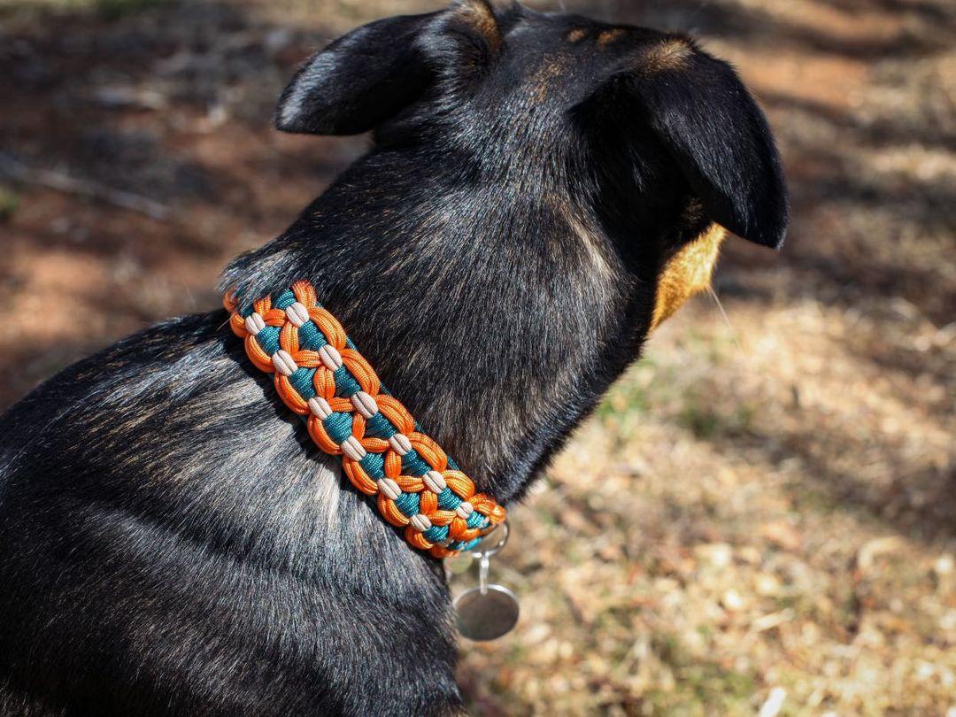 Dog Collar - Sadie's Posie Kim & Milly's Cords 4 Paws Paracord Handmade Dog Accessories Customizable Made in Germany Shipping worldwide