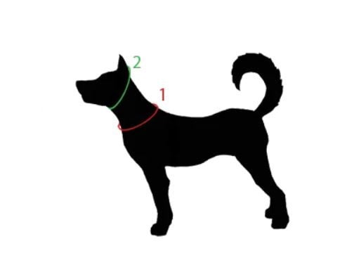 ID Collar / House Collar Kim & Milly's Cords 4 Paws Paracord Handmade Dog Accessories Customizable Made in Germany Shipping worldwide